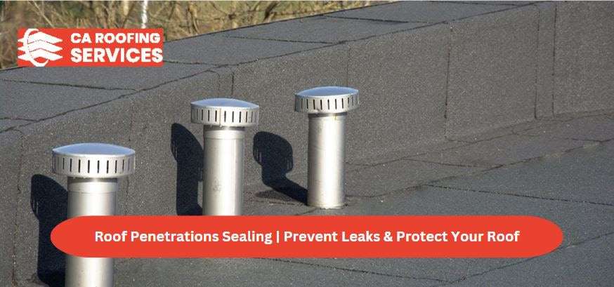 Roof Penetrations Sealing