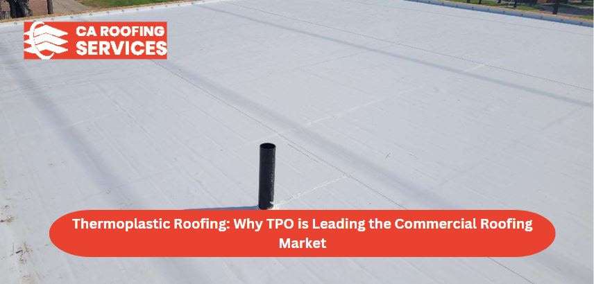 Thermoplastic roofing